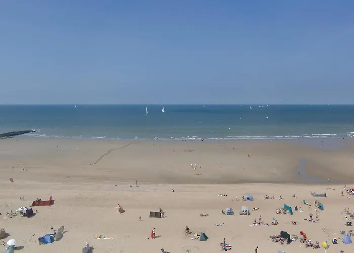 Res Chateau Les Dunes Ref 39 Daire *